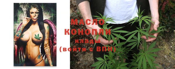 Альфа ПВП Белая Холуница