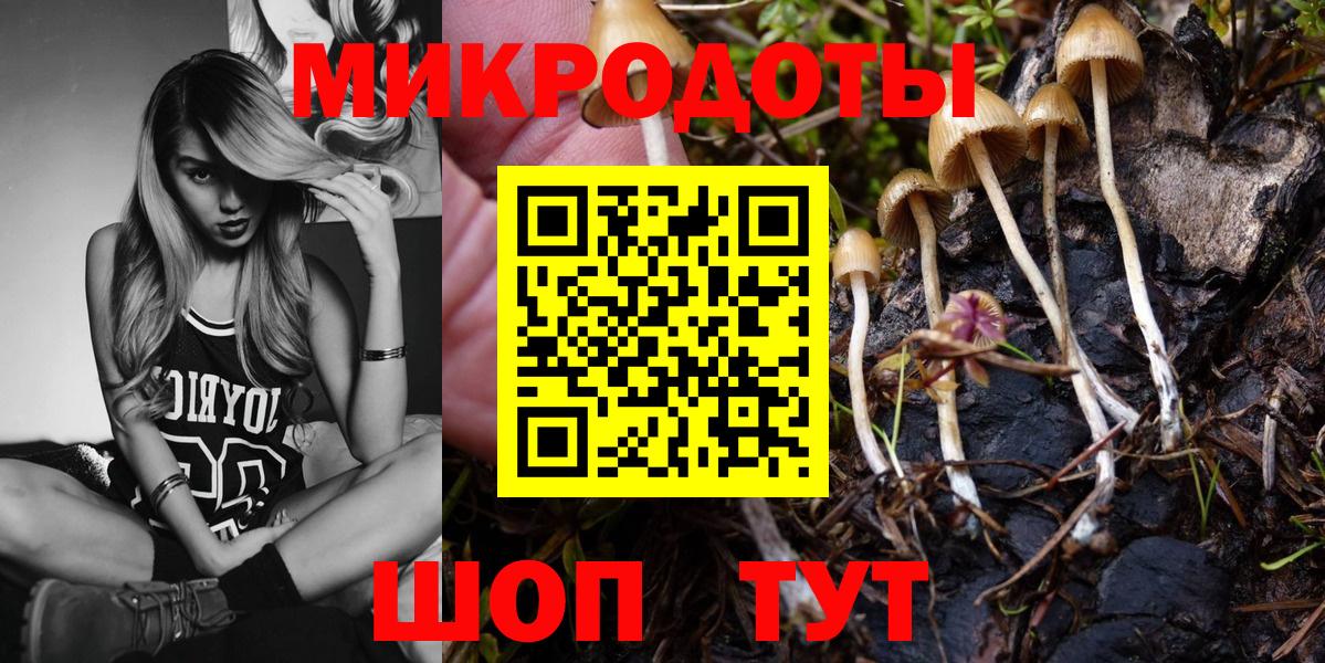 Галлюциногенные грибы Psilocybine cubensis  Чебоксары 