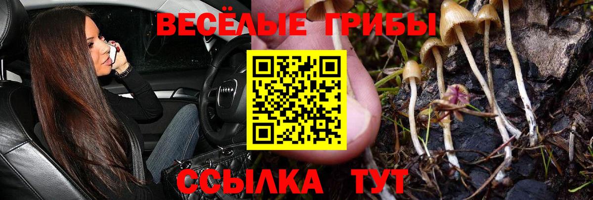  Cocaine Чебоксары