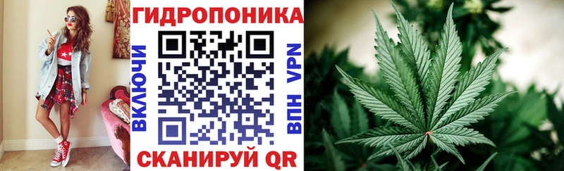 дарнет шоп Чебоксары Шишки марихуана Amnesia